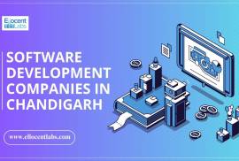 Software Development Companies in Chandigarh: Ello, Computers, Software, New, India, 160071