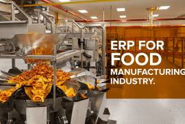Why You Need Erp Software in the Food Industry?, Computers, Software, New, India, 382210