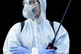 Pest management Melbourne, United States, 32935