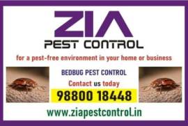 Bed Bugs Control | Bed Bugs Treatment | Bengaluru service provided | 341, United States
