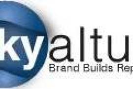 Best SEO Company in Bangalore | Skyaltum, India