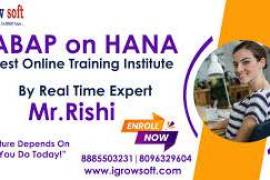 SAP ABAP HANA Online Training Ameerpet | Igrowsoft, India, 500016