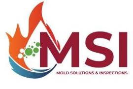 Mold Solutions & Inspections, United States