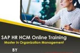 Best SAP HR Online Training Hyderabad | Igrowsoft, India, 500016