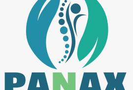  PANAX Spine & Pain Management Center, India, 440027