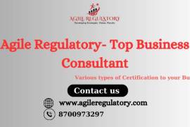 Agile Regulatory India's Top business consultant, India, 201301