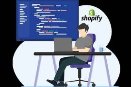 Hire Dedicated Shopify Developer in Florida, United States, 10102