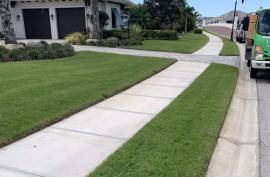 Pest management Clearwater, United States, 34219