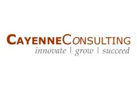 Cayenne Consulting | Pitch Deck Design & Consultin, United States, 85755