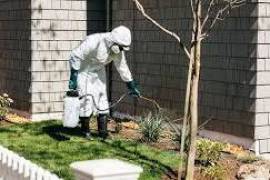 Exterminator Palm bay FL, United States, 32935