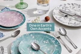 Dine with Earthy Feel with Ceramic Plates by Kaira