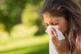 Allergy doctor near me, United States, 77030