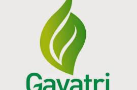 Gayatri Psyllium Industries - Psyllium Husk powder, India, 384170