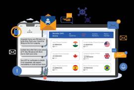 The Hidden Dangers of Using Free Receive SMS Platf, United States, 35013
