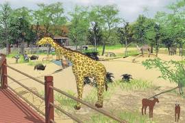 Zoo Animal Exhibit Design Consultant Services, Thailand, 10230