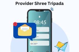 Reliable & Scalable Bulk SMS Services by Shree, India, 380005