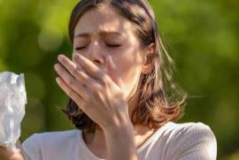 Allergy news, United States, 77090