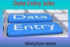  Hospital Entry Form Filling projects available call  7708244092., India