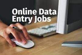 Data Entry Project Available | Call 7708244092, India