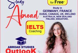 Study Abroad Consultant, United States