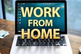 Simple offline US Medical Form Filling projects available 7708244092, India
