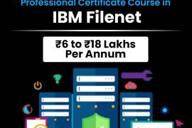 IBM FileNet Training: Ready to Master Enterprise Content Management?, United States