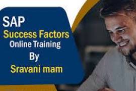 SAP Success Factors Online training institute , India, 500016