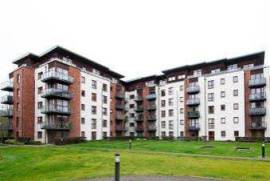 Trusted Estate Agents Dublin, Ireland, D03A7P