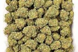 Best THCa flower wholesale, United States, 78645