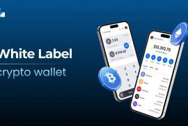  White Label Crypto Wallet Company Serving Clients, United States, 92262
