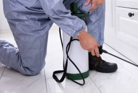 Pest control Melbourne Fl, United States, 34219