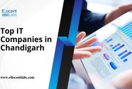 Top IT Companies in Chandigarh, India, 160071