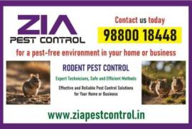 AD TITLE / HEADING	Bangalore Rodent Control | Safe, India, 560033
