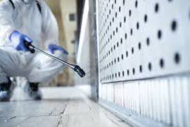Pest inspection Melbourne, United States, 32935