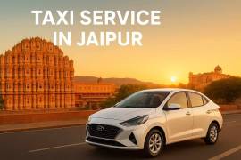 Local Visitors Bureaus, Tourism and Travel, Travel Agencies