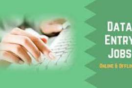  Work from Home: Data Entry Opportunity, India