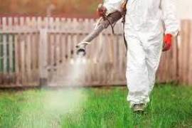 Commercial pest control Melbourne, United States, 34219